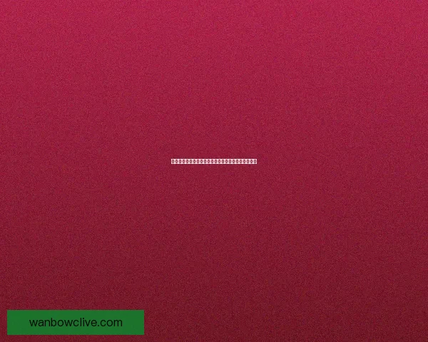 万博体育注册平台全面解析，畅享极速体验与安全保障