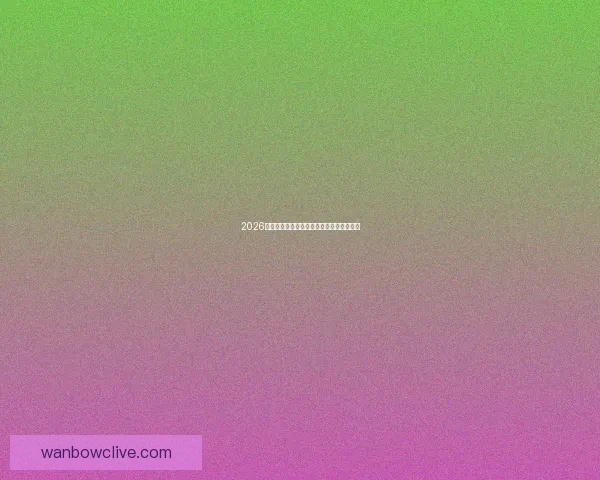 2026年世界杯举办国及赛事安排全面解析与展望