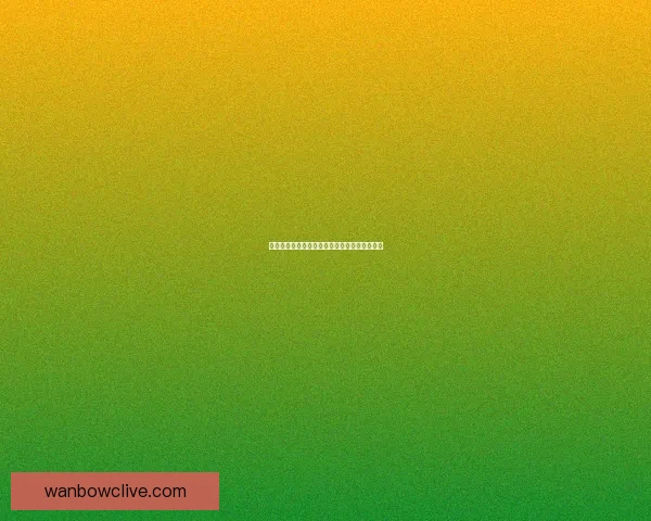 世界杯竞猜规则全面解析与趣味策略指南大揭秘