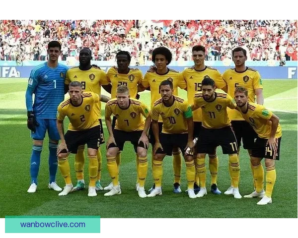 世界杯竞猜赔率全解析：各热门球队胜率与潜在黑马对比分析