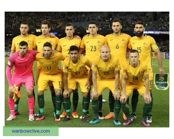 世界杯足球竞猜入口全面指南助你轻松掌握赛事投注技巧