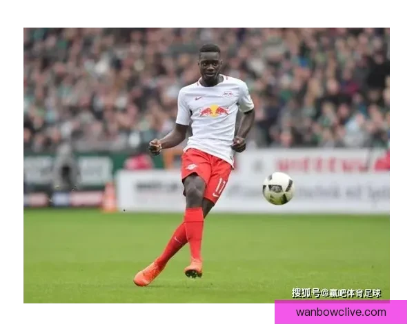 世界杯竞猜赔率分析与投注策略全面解读助你精准预测赛事结果