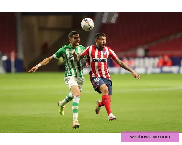 世界杯竞猜赔率分析与投注策略全面解读助你精准预测赛事结果