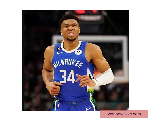 篮网主帅宣布小波特和沃尔夫将缺席本赛季剩余比赛 重新调整球队阵容